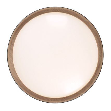 Leuchten Direkt 14347-18 - LED Dimmable belysning EMILIA LED/28,8W/230V svart