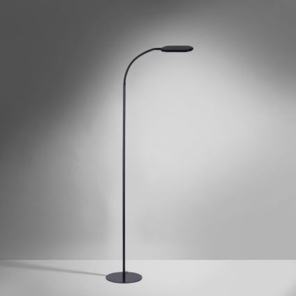 Leuchten Direkt 14406-18 - LED Ljusreglerad beröring golvlampa KELLY LED/7W/230V 3000/4000/6000K