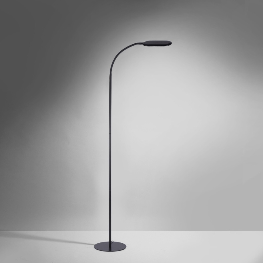 Leuchten Direkt 14406-18 - LED Ljusreglerad beröring golvlampa KELLY LED/7W/230V 3000/4000/6000K