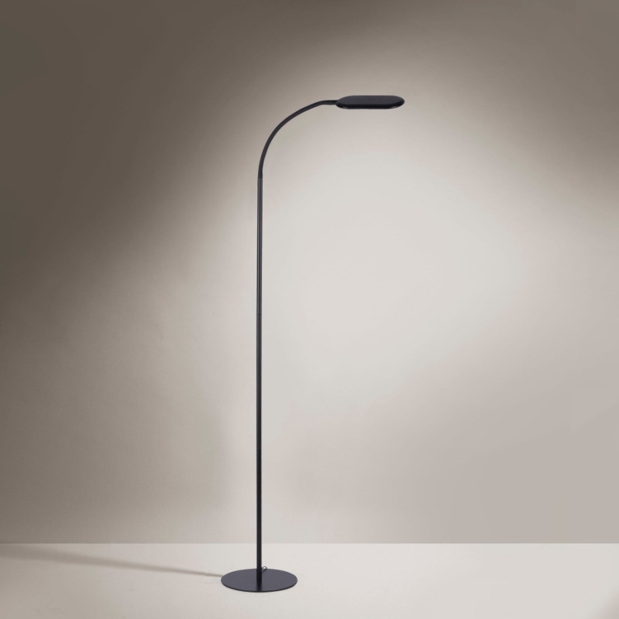Leuchten Direkt 14406-18 - LED Ljusreglerad beröring golvlampa KELLY LED/7W/230V 3000/4000/6000K