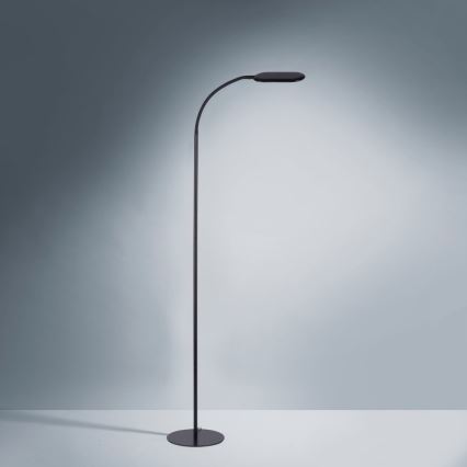 Leuchten Direkt 14406-18 - LED Ljusreglerad beröring golvlampa KELLY LED/7W/230V 3000/4000/6000K