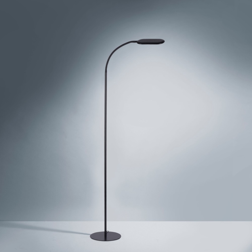 Leuchten Direkt 14406-18 - LED Ljusreglerad beröring golvlampa KELLY LED/7W/230V 3000/4000/6000K