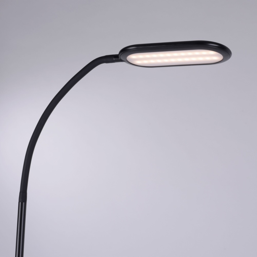 Leuchten Direkt 14406-18 - LED Ljusreglerad beröring golvlampa KELLY LED/7W/230V 3000/4000/6000K