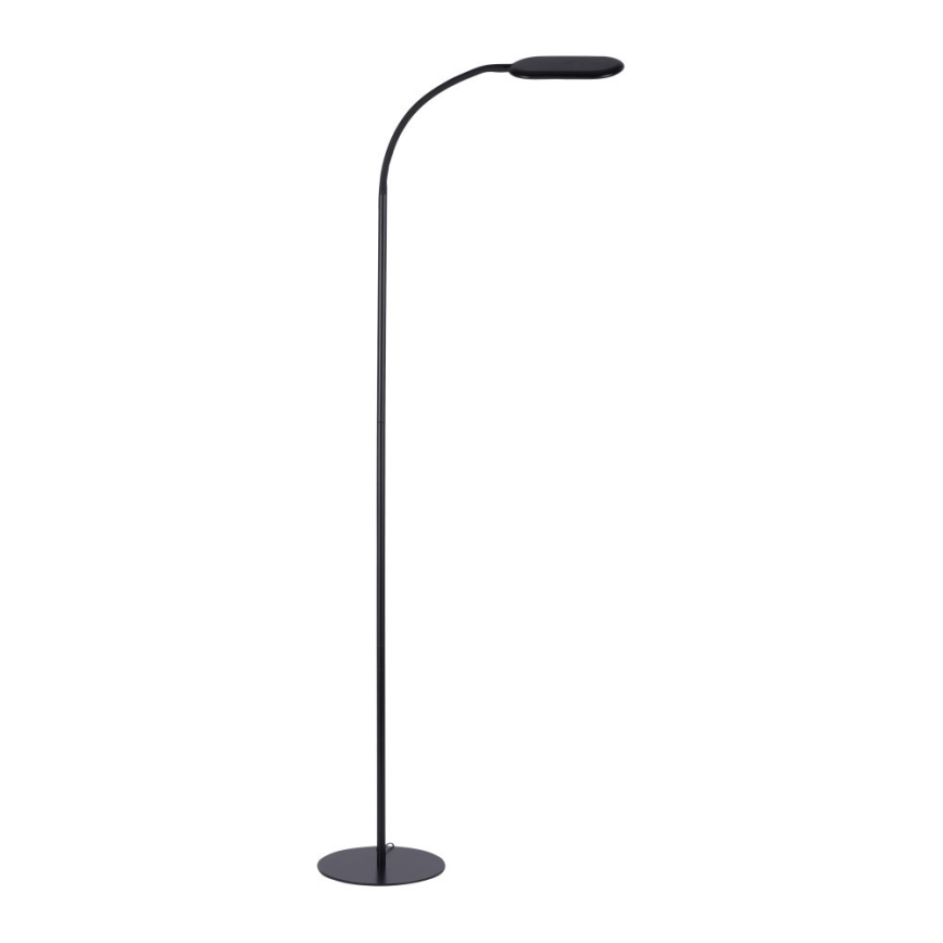 Leuchten Direkt 14406-18 - LED Ljusreglerad beröring golvlampa KELLY LED/7W/230V 3000/4000/6000K