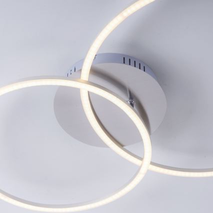 Leuchten Direkt 14537-55 - LED Dimbar belysning IVANKA LED/14W/230V+LED/12W