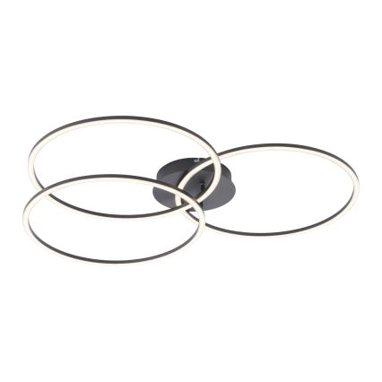 Leuchten Direkt 14539-18 - LED Dimbar belysning IVANKA 3xLED/12W/230V