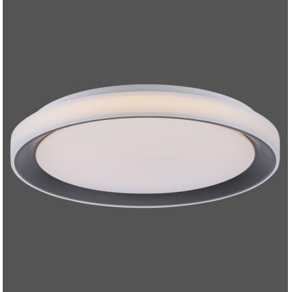 Leuchten Direkt 14659-18 - LED RGB Dimbar belysning LOLA LED/24W/230V Tuya + Fjärrstyrd
