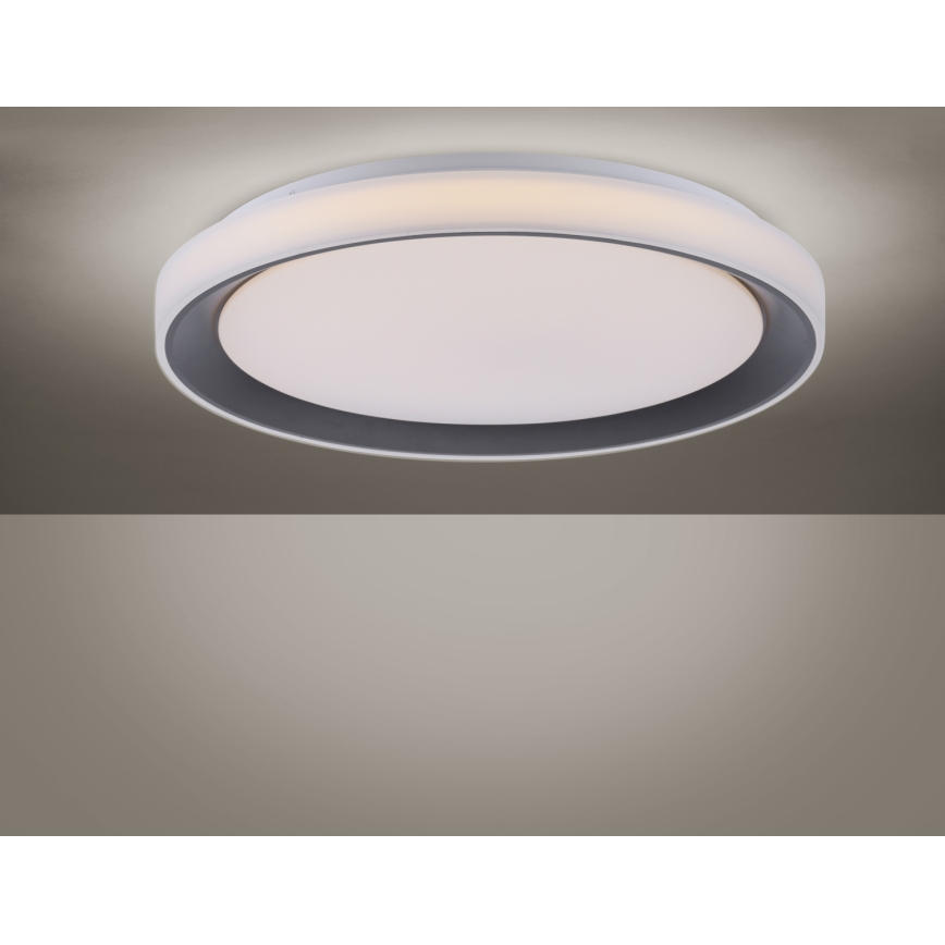 Leuchten Direkt 14659-18 - LED RGB Dimbar belysning LOLA LED/24W/230V Tuya + Fjärrstyrd