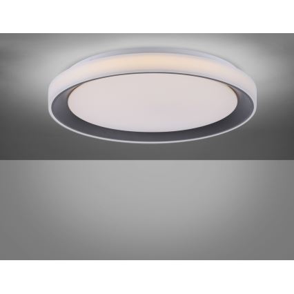 Leuchten Direkt 14659-18 - LED RGB Dimbar belysning LOLA LED/24W/230V Tuya + Fjärrstyrd