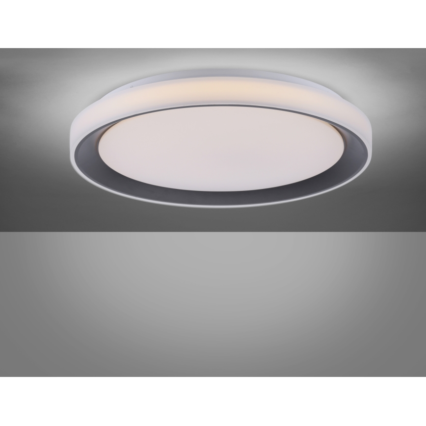 Leuchten Direkt 14659-18 - LED RGB Dimbar belysning LOLA LED/24W/230V Tuya + Fjärrstyrd