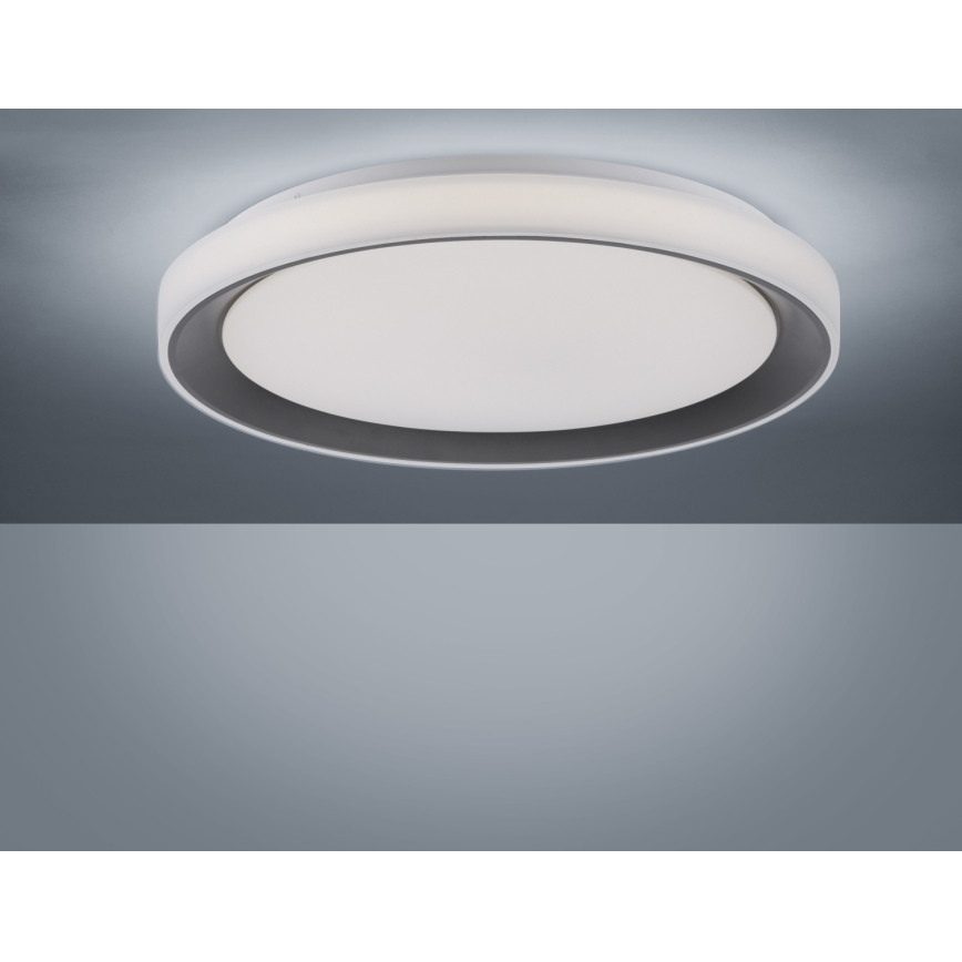 Leuchten Direkt 14659-18 - LED RGB Dimbar belysning LOLA LED/24W/230V Tuya + Fjärrstyrd
