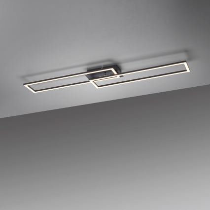 Leuchten Direkt 14691-18 - LED dimbar taklampa IVEN LED/36W/230V