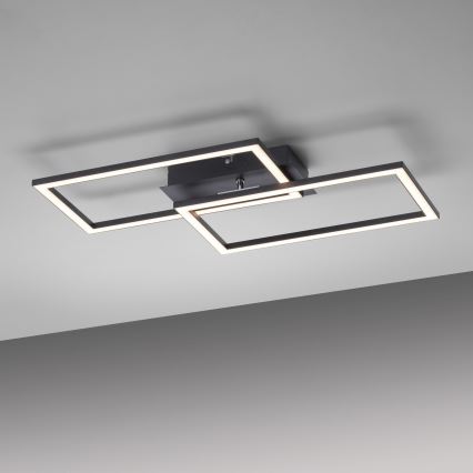 Leuchten Direkt 14692-18 - LED Dimmable ceiling belysning IVEN LED/36W/230V