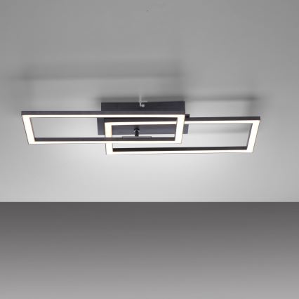 Leuchten Direkt 14692-18 - LED Dimmable ceiling belysning IVEN LED/36W/230V