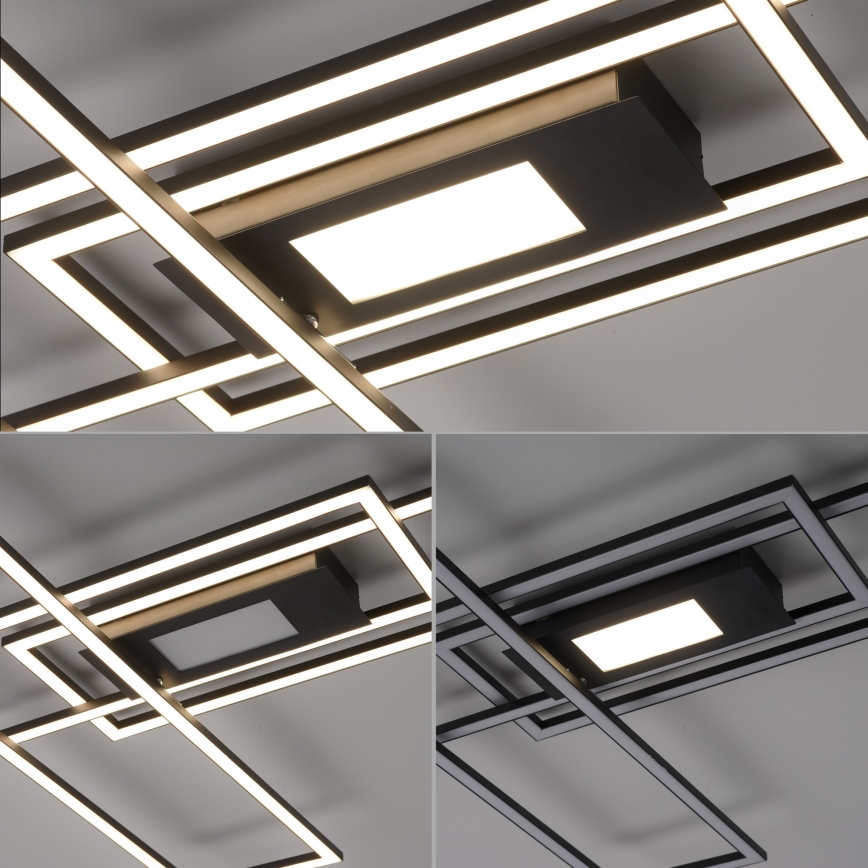 Leuchten Direkt 14693-18 - LED Dimmable ceiling belysning ASMIN LED/48W/230V