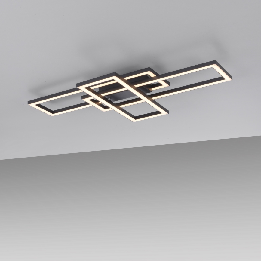 Leuchten Direkt 14697-18 - LED dimbar taklampa IVEN LED/24W/230V