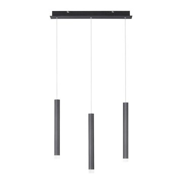 Leuchten Direkt 15203-18 - LED Ljuskrona med upphängningsrem  3xLED/4,8W/230V svart 
