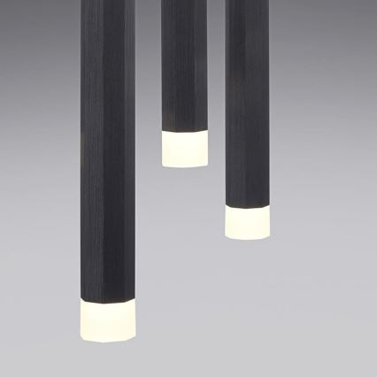 Leuchten Direkt 15203-18 - LED Ljuskrona med upphängningsrem  3xLED/4,8W/230V svart 