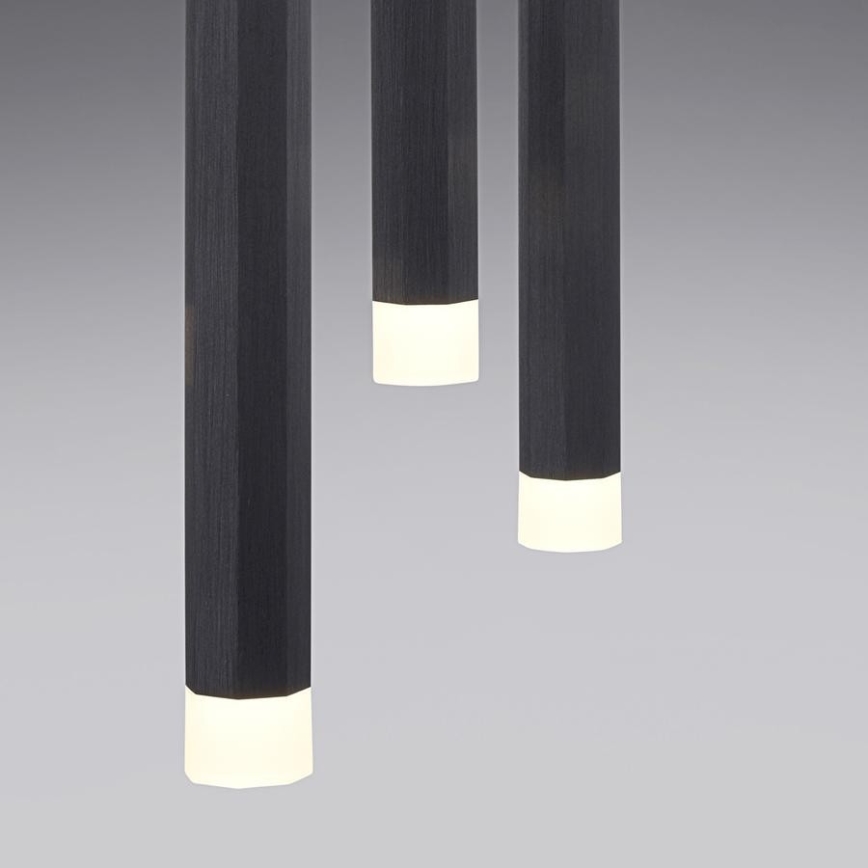 Leuchten Direkt 15203-18 - LED Ljuskrona med upphängningsrem  3xLED/4,8W/230V svart 