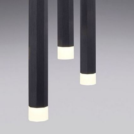 Leuchten Direkt 15205-18 - LED Ljuskrona med upphängningsrem  BRUNO 5xLED/4,8W/230V svart 
