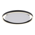 Leuchten Direkt 15391-13 - LED dimbar taklampa RITUS LED/20W/230V svart