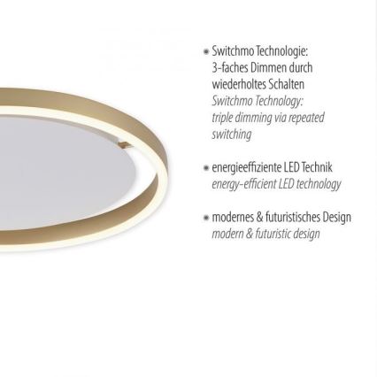 Leuchten Direkt 15391-60 - LED ljusreglerad taklampa RITUS LED/20W/230V mässing