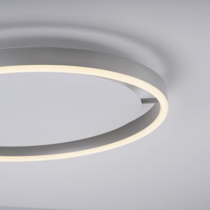 Leuchten Direkt 15391-95 - LED Dimbar taklampa RITUS LED/20W/230V matt krom