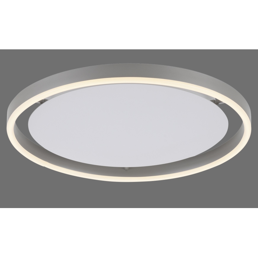 Leuchten Direkt 15391-95 - LED Dimbar taklampa RITUS LED/20W/230V matt krom