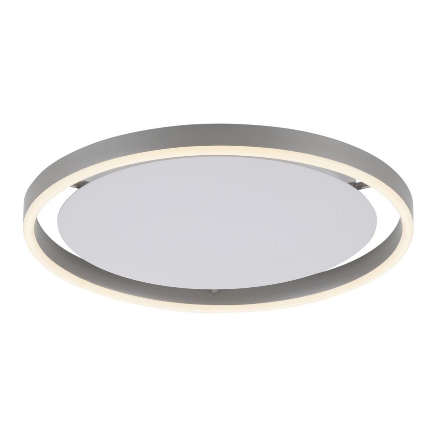 Leuchten Direkt 15391-95 - LED Dimbar taklampa RITUS LED/20W/230V matt krom
