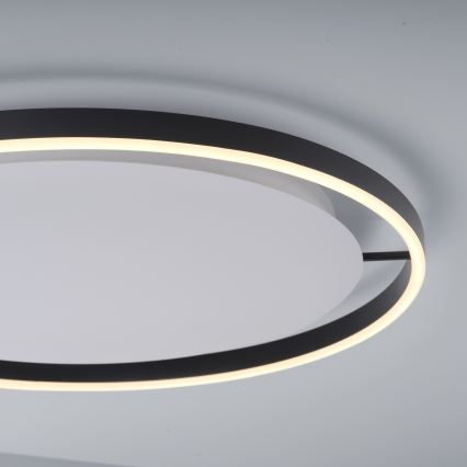 Leuchten Direkt 15392-13 - LED Dimmable ceiling belysning RITUS LED/30W/230V svart