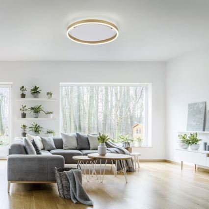 Leuchten Direkt 15392-60 - LED ljusreglerad taklampa RITUS LED/30W/230V mässing
