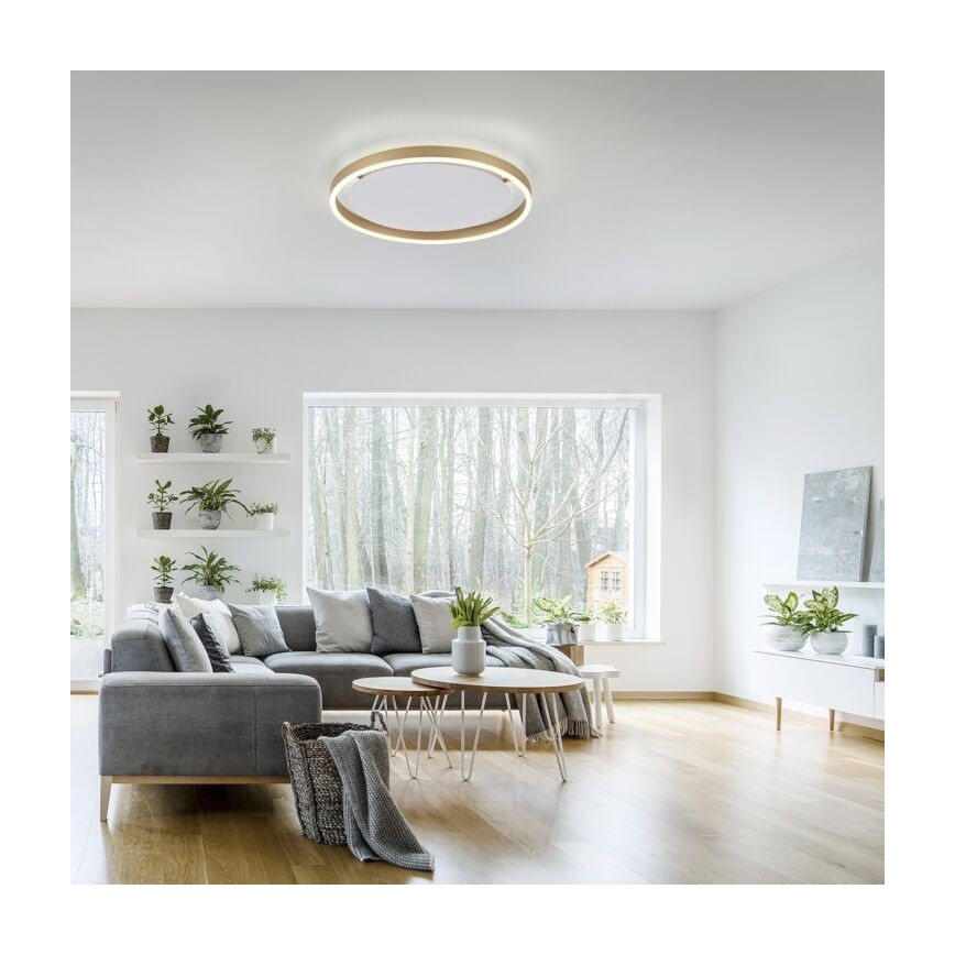 Leuchten Direkt 15392-60 - LED ljusreglerad taklampa RITUS LED/30W/230V mässing