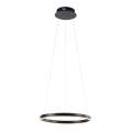 Leuchten Direkt 15393-13 - LED dimbar taklampa RITUS LED/20W/230V svart