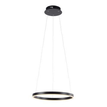 Leuchten Direkt 15393-13 - LED Dimmable ljuskrona on a string RITUS LED/20W/230V svart