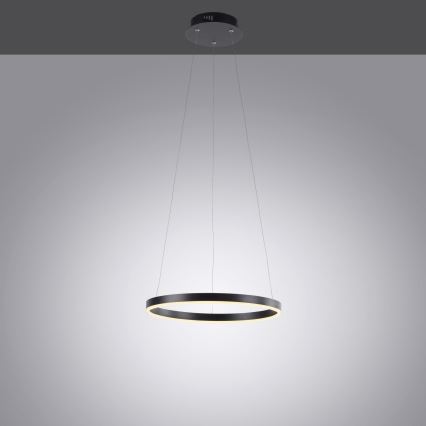 Leuchten Direkt 15393-13 - LED Dimmable ljuskrona on a string RITUS LED/20W/230V svart