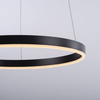 Leuchten Direkt 15393-13 - LED Dimmable ljuskrona on a string RITUS LED/20W/230V svart