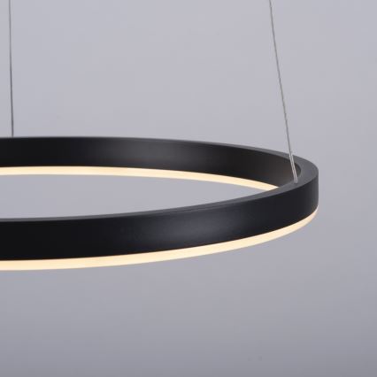Leuchten Direkt 15393-13 - LED Dimmable ljuskrona on a string RITUS LED/20W/230V svart