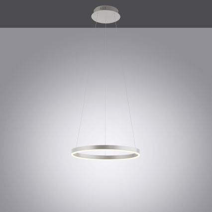 Leuchten Direkt 15393-95 - LED ljusreglerad ljuskrona på textilsladd RITUS LED/20W/230V matt krom