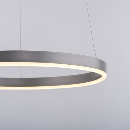 Leuchten Direkt 15393-95 - LED ljusreglerad ljuskrona på textilsladd RITUS LED/20W/230V matt krom