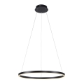 Leuchten Direkt 15394-13 - LED dimbar taklampa RITUS LED/30W/230V svart