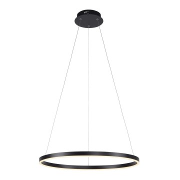 Leuchten Direkt 15394-13 - LED dimbar taklampa RITUS LED/30W/230V svart