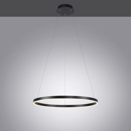 Leuchten Direkt 15394-13 - LED Dimmable ljuskrona on a string RITUS LED/30W/230V svart