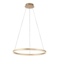 Leuchten Direkt 15394-60 - LED dimbar taklampa RITUS LED/30W/230V mässing