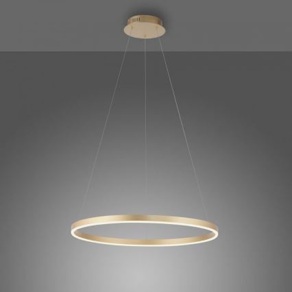 Leuchten Direkt 15394-60 - LED ljusreglerad ljuskrona på snöre RITUS LED/30W/230V mässing