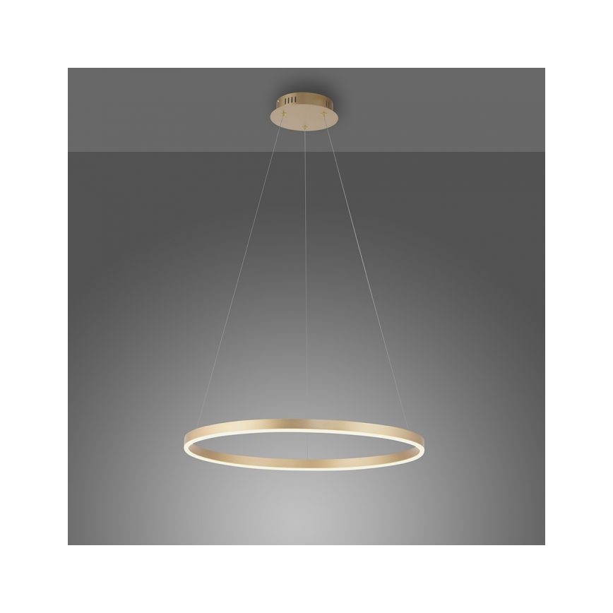 Leuchten Direkt 15394-60 - LED ljusreglerad ljuskrona på snöre RITUS LED/30W/230V mässing