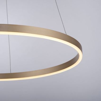 Leuchten Direkt 15394-60 - LED ljusreglerad ljuskrona på snöre RITUS LED/30W/230V mässing