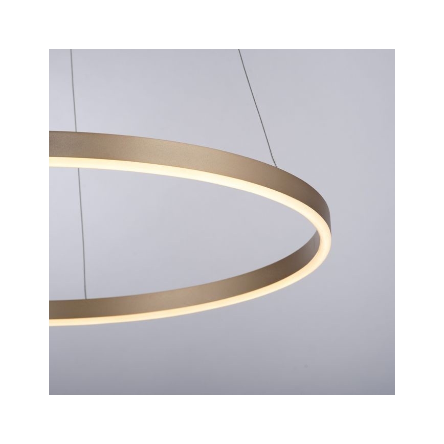 Leuchten Direkt 15394-60 - LED ljusreglerad ljuskrona på snöre RITUS LED/30W/230V mässing