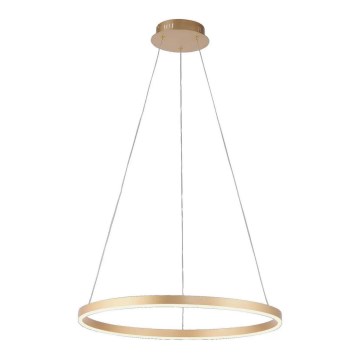 Leuchten Direkt 15394-60 - LED ljusreglerad ljuskrona på snöre RITUS LED/30W/230V mässing