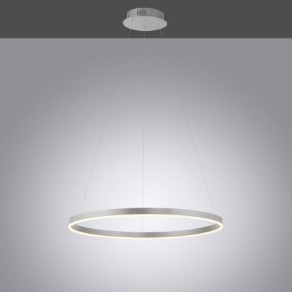 Leuchten Direkt 15394-95 - LED ljusreglerad ljuskrona på textilsladd RITUS LED/30W/230V matt krom