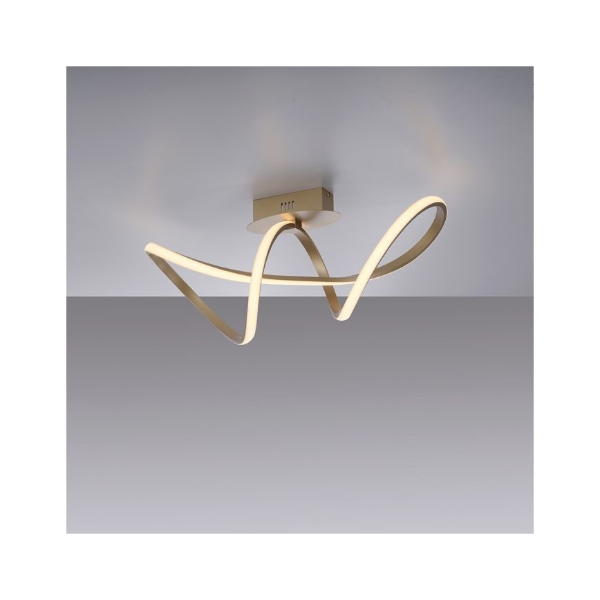 Leuchten Direkt 15403-60 - Fäst LED ljusreglerad ljuskrona MARIA LED/15,5W/230V